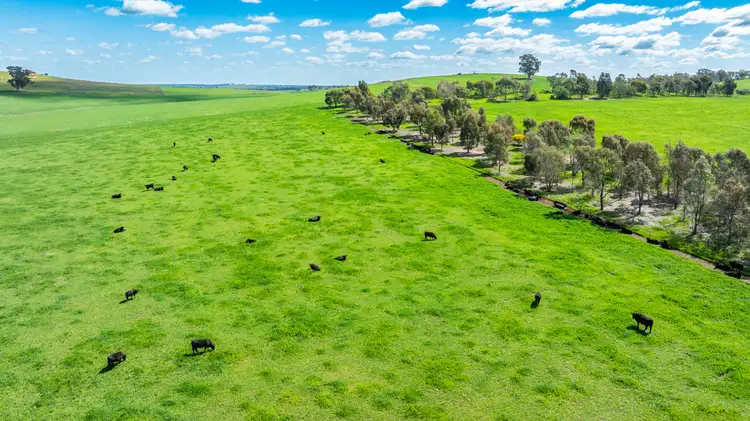 Second view of Homely rural property listing, 341 Reynella Road, Walbundrie NSW 2642