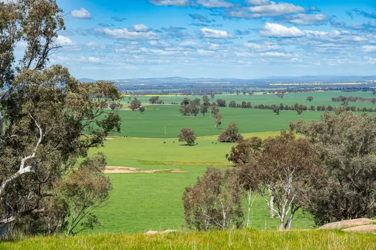 Fourth view of Homely rural property listing, 341 Reynella Road, Walbundrie NSW 2642