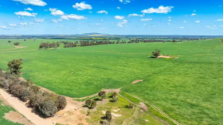 Sixth view of Homely rural property listing, 341 Reynella Road, Walbundrie NSW 2642