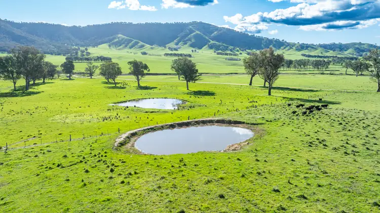 Sixth view of Homely rural property listing, 2852 Shelley Road, Walwa VIC 3709