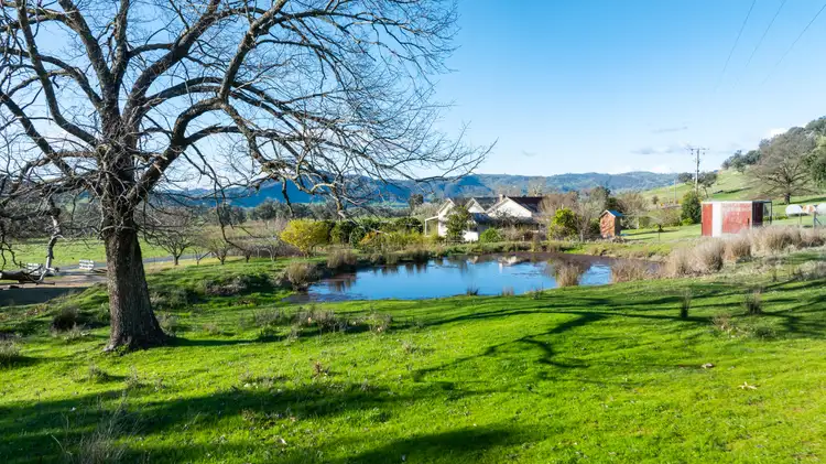 Sixth view of Homely rural property listing, 2852 Shelley Road, Walwa VIC 3709