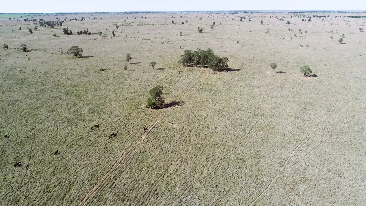 Main view of Homely rural property listing, 'Balboa' 2363 Roma - Southern Road, Roma QLD 4455
