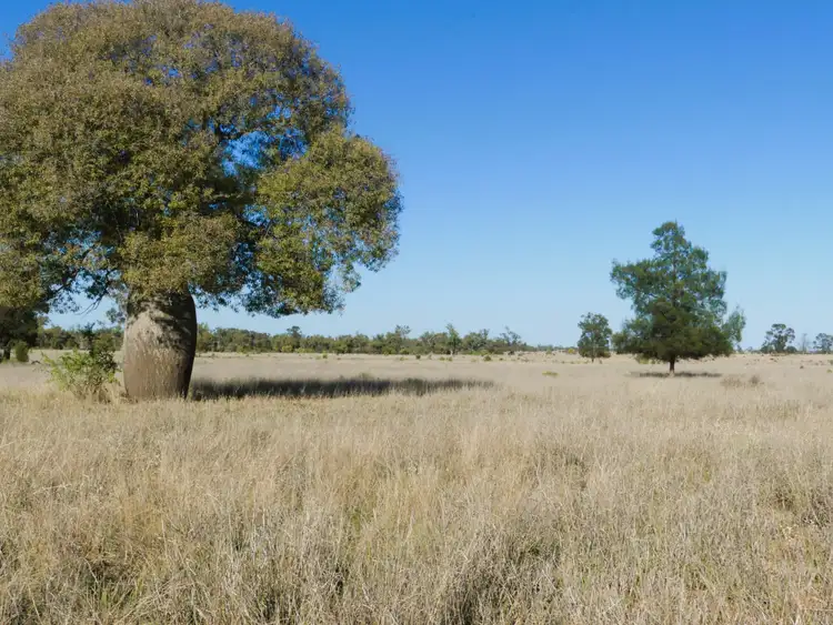 Second view of Homely rural property listing, 'Balboa' 2363 Roma - Southern Road, Roma QLD 4455