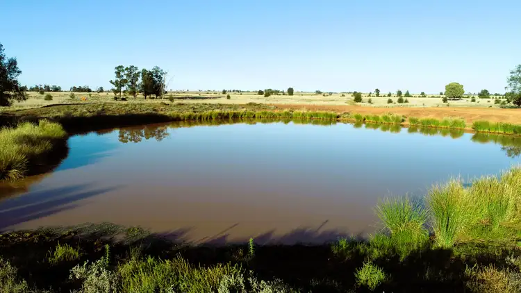 Third view of Homely rural property listing, 'Balboa' 2363 Roma - Southern Road, Roma QLD 4455