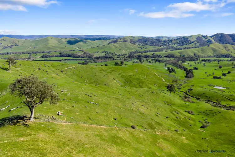 Third view of Homely rural property listing, 53 Halls Outlet Road, Alexandra VIC 3714