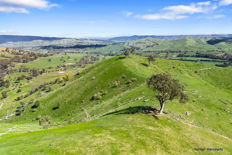 Fifth view of Homely rural property listing, 53 Halls Outlet Road, Alexandra VIC 3714