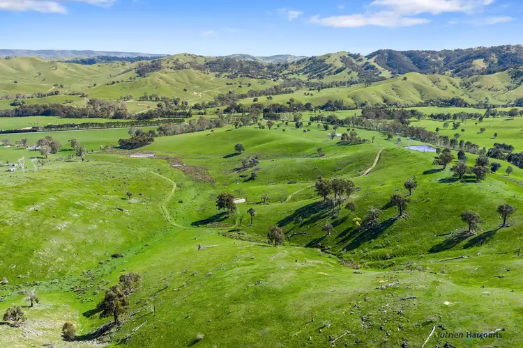 Seventh view of Homely rural property listing, 53 Halls Outlet Road, Alexandra VIC 3714