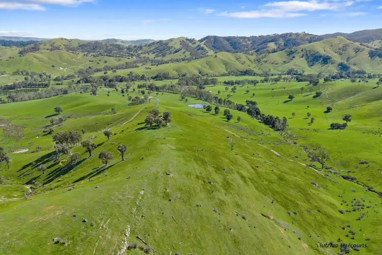 Seventh view of Homely rural property listing, 53 Halls Outlet Road, Alexandra VIC 3714