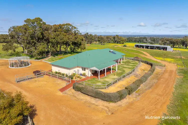 Fourth view of Homely rural property listing, 279 Giumelli Road, Henty WA 6236