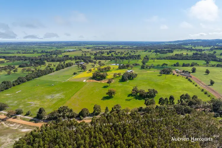 Sixth view of Homely rural property listing, 279 Giumelli Road, Henty WA 6236