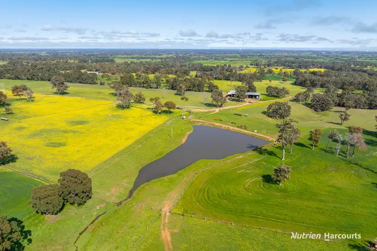 Seventh view of Homely rural property listing, 279 Giumelli Road, Henty WA 6236