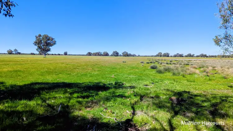 Sixth view of Homely rural property listing, Lot 51 Millbank Road, Cowalla WA 6503