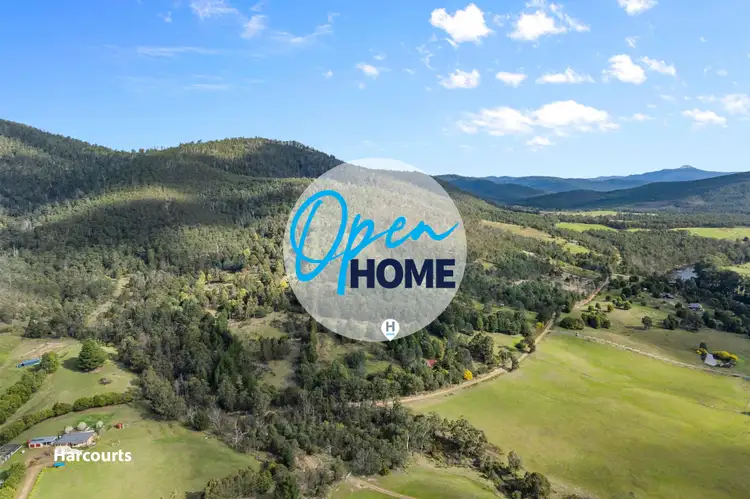 487 She Oak Road, Judbury TAS 7109