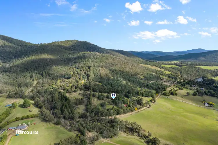 487 She Oak Road, Judbury TAS 7109