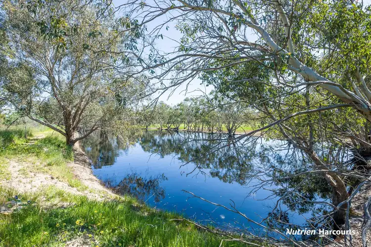 Fourth view of Homely rural property listing, 1196 Bennies Road, Wanerie WA 6503