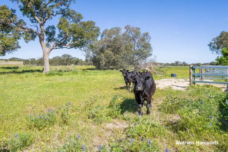 Fifth view of Homely rural property listing, 1196 Bennies Road, Wanerie WA 6503