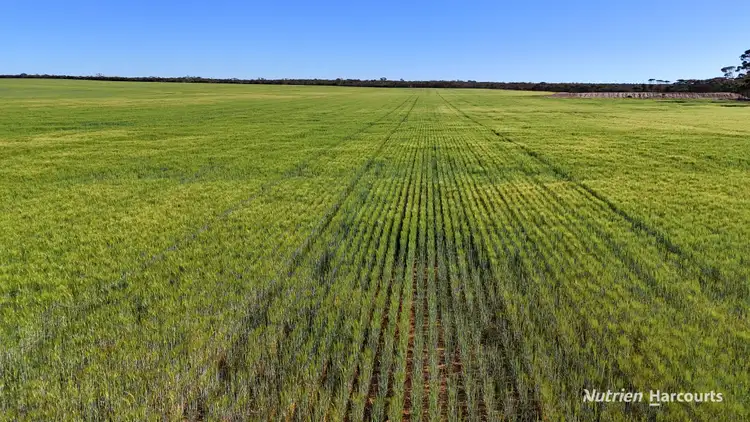 Sixth view of Homely rural property listing, 1650 Dulyalbin Road, South Bodallin WA 6424