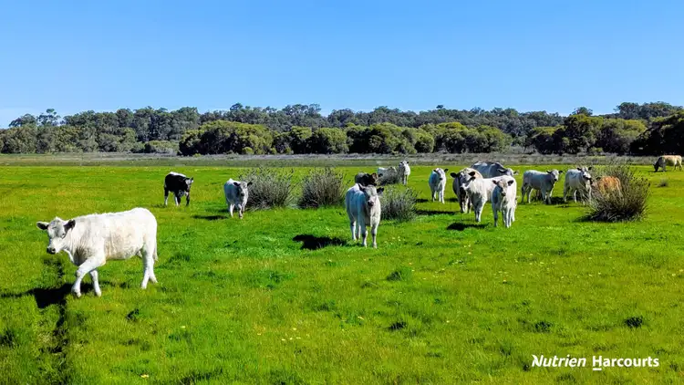 Fifth view of Homely rural property listing, Lot 52 Cowalla Road, Cowalla WA 6503