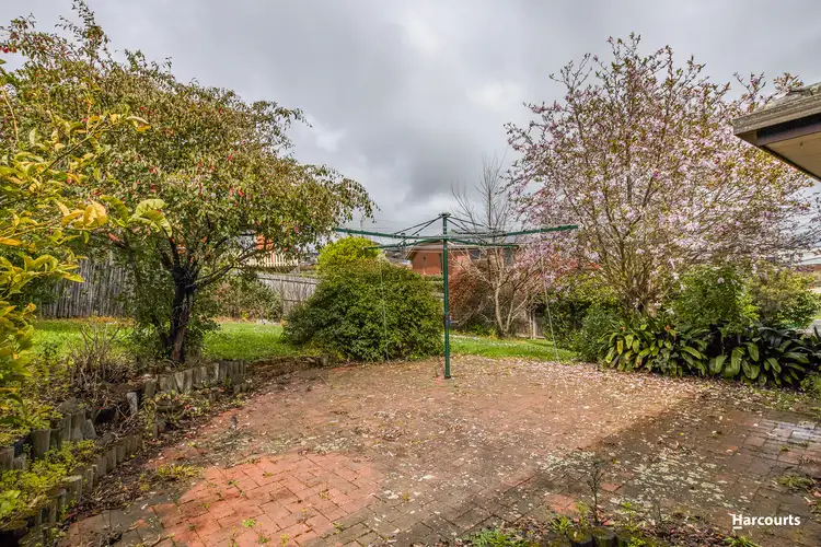 Third view of Homely house listing, 19 Kalina Crescent, Park Grove TAS 7320