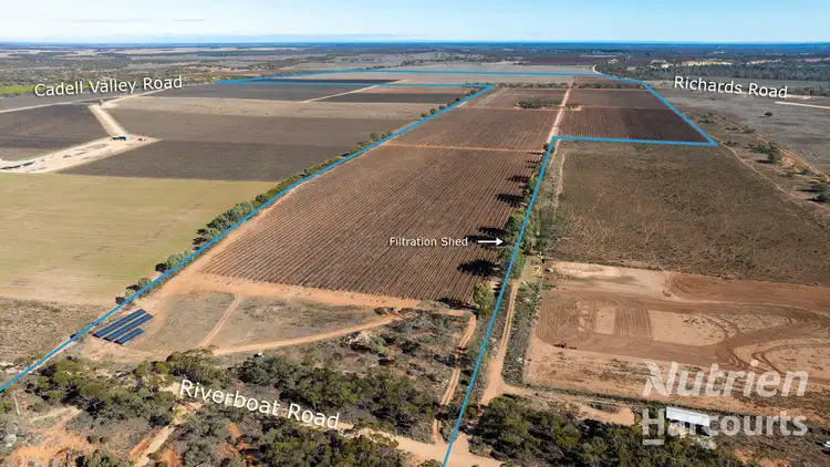Second view of Homely rural property listing, 126 Riverboat Road, Cadell SA 5321