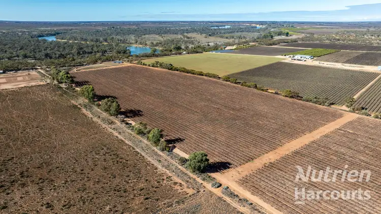 Seventh view of Homely rural property listing, 126 Riverboat Road, Cadell SA 5321