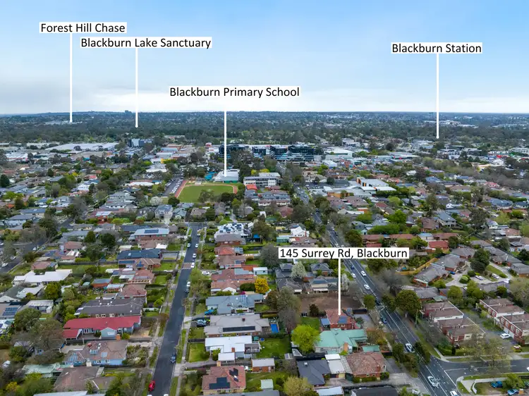 Fourth view of Homely house listing, 145 Surrey Road, Blackburn VIC 3130