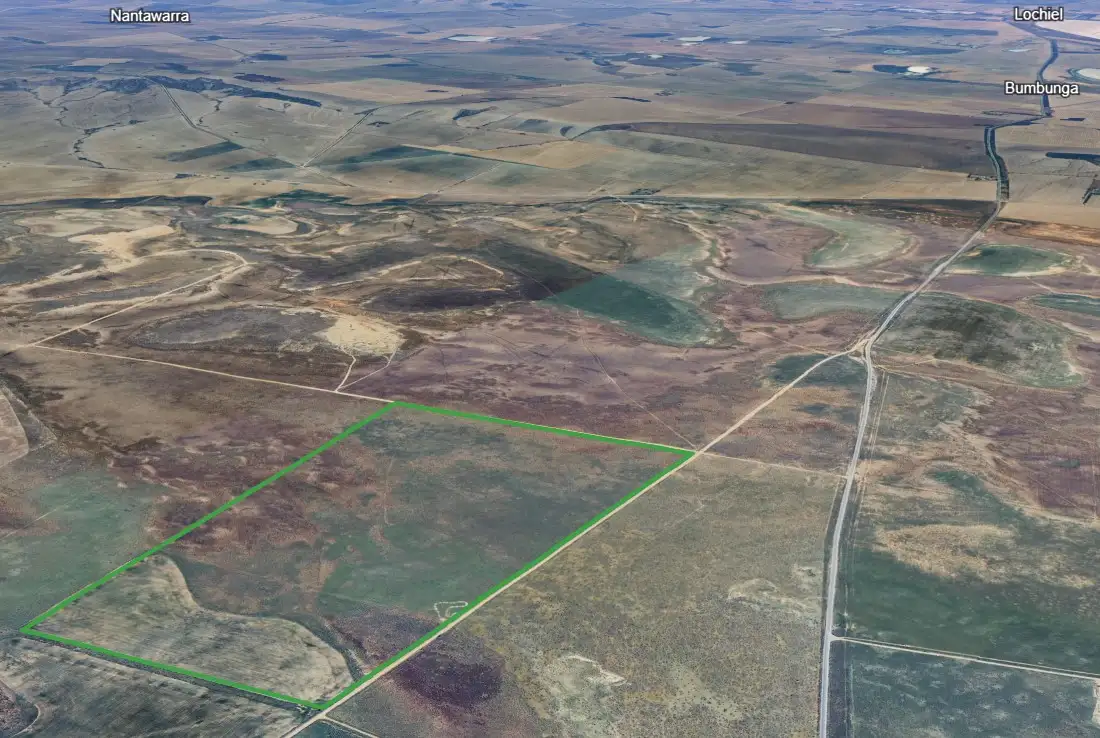 Main view of Homely rural property listing, 423 Wandel Road, Everard Central SA 5461
