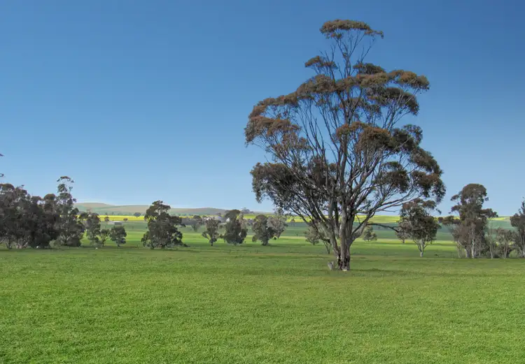 1392 Yongala Vale Road, Sunnybrae SA 5422