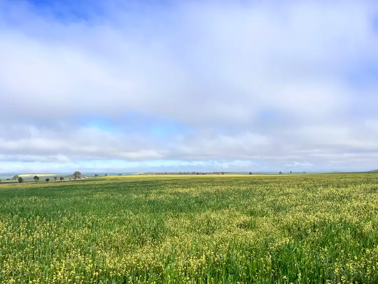 Second view of Homely rural property listing, 1392 Yongala Vale Road, Sunnybrae SA 5422