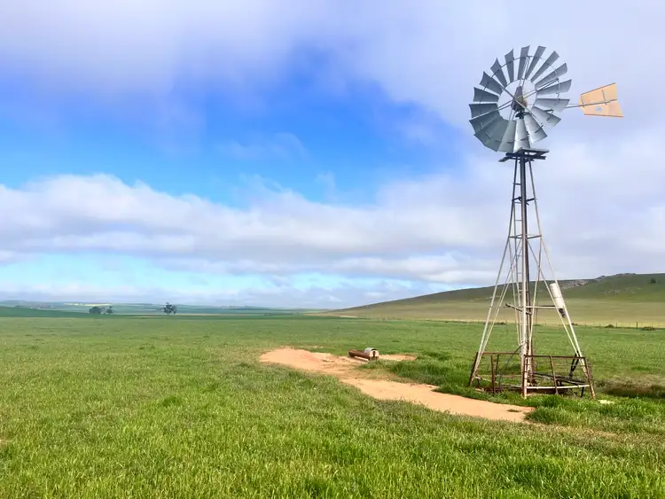Fourth view of Homely rural property listing, 1392 Yongala Vale Road, Sunnybrae SA 5422