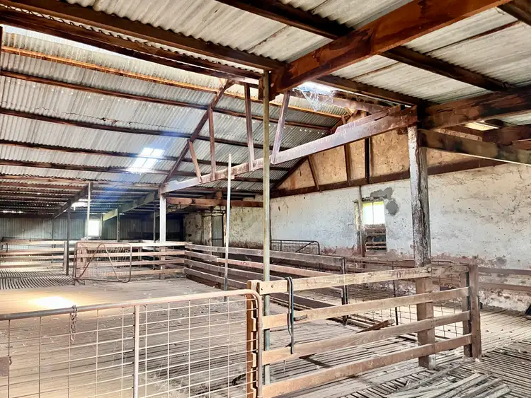 Sixth view of Homely rural property listing, 1392 Yongala Vale Road, Sunnybrae SA 5422