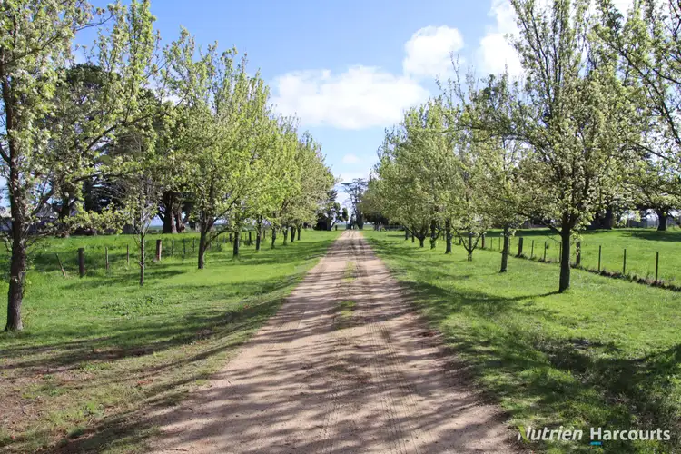 524 Remembrance Drive, Windermere VIC 3352