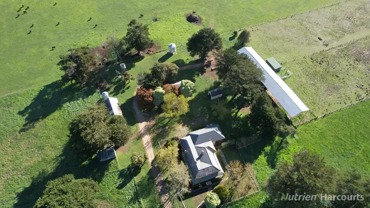 Fifth view of Homely rural property listing, 524 Remembrance Drive, Windermere VIC 3352
