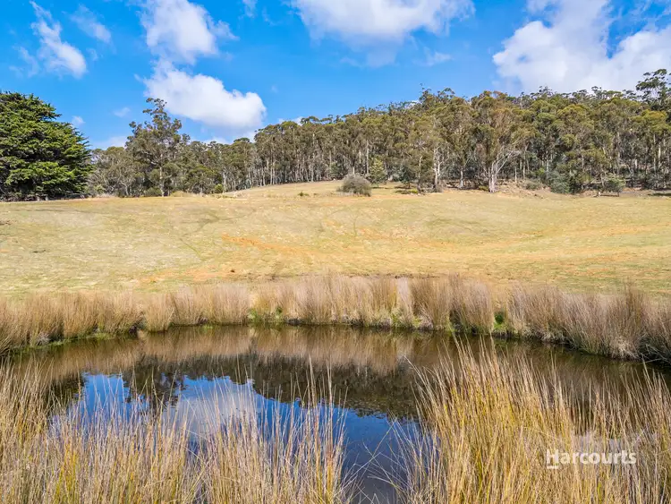 Third view of Homely land listing, LOT 3, 4115 Tasman Highway, Runnymede TAS 7190