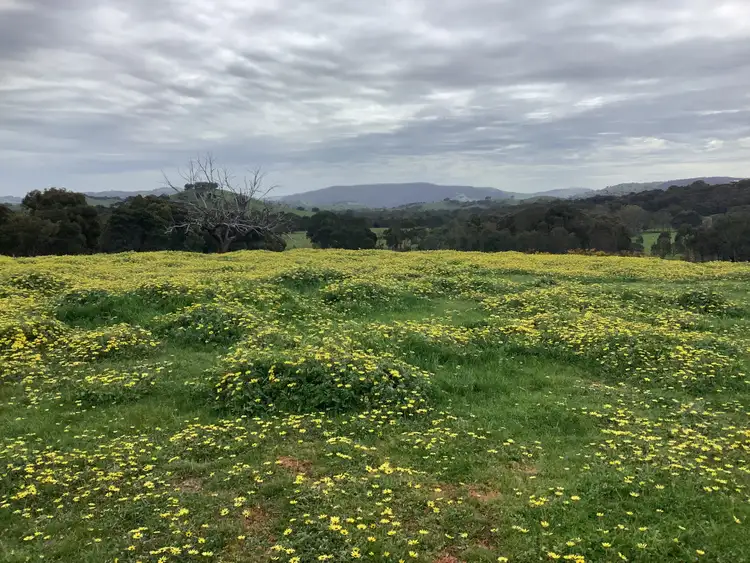 Main view of Homely rural property listing, 20 Chetwynd Road, Whiteheads Creek VIC 3660