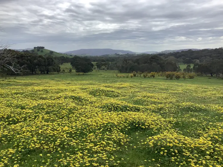 Fifth view of Homely rural property listing, 20 Chetwynd Road, Whiteheads Creek VIC 3660