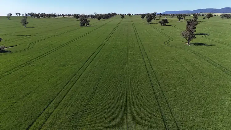 Fourth view of Homely rural property listing, 861 Kadina Road, Alectown NSW 2870