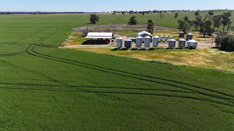 Sixth view of Homely rural property listing, 861 Kadina Road, Alectown NSW 2870