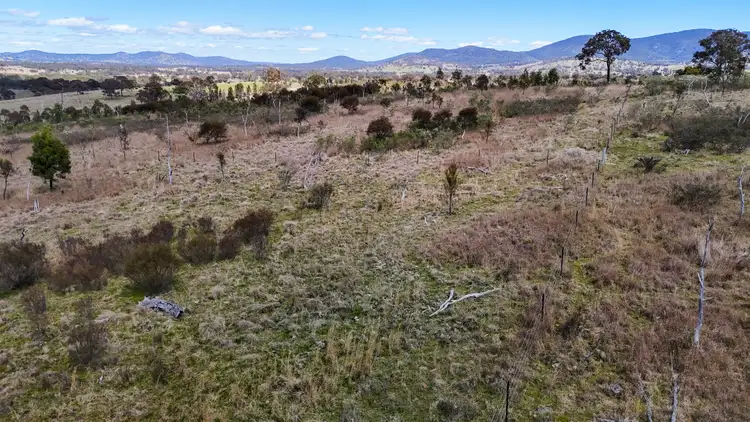 Third view of Homely rural property listing, 100 Tarban Road, Tenterfield NSW 2372