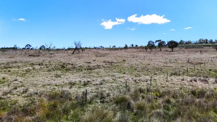 Sixth view of Homely rural property listing, 100 Tarban Road, Tenterfield NSW 2372