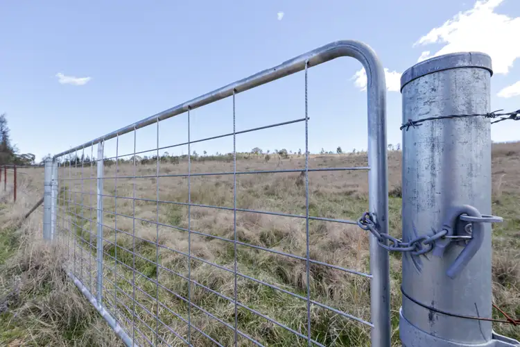 Seventh view of Homely rural property listing, 100 Tarban Road, Tenterfield NSW 2372