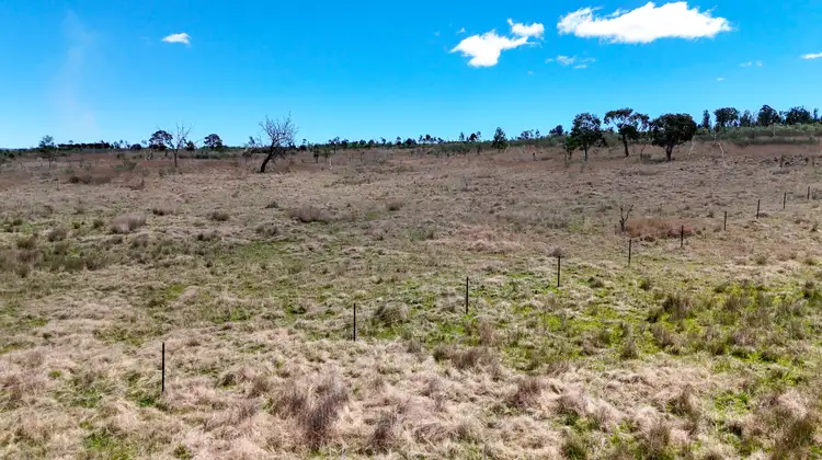 Second view of Homely rural property listing, 94 Tarban Road, Tenterfield NSW 2372