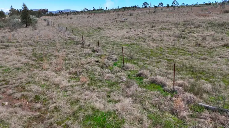 Fifth view of Homely rural property listing, 94 Tarban Road, Tenterfield NSW 2372