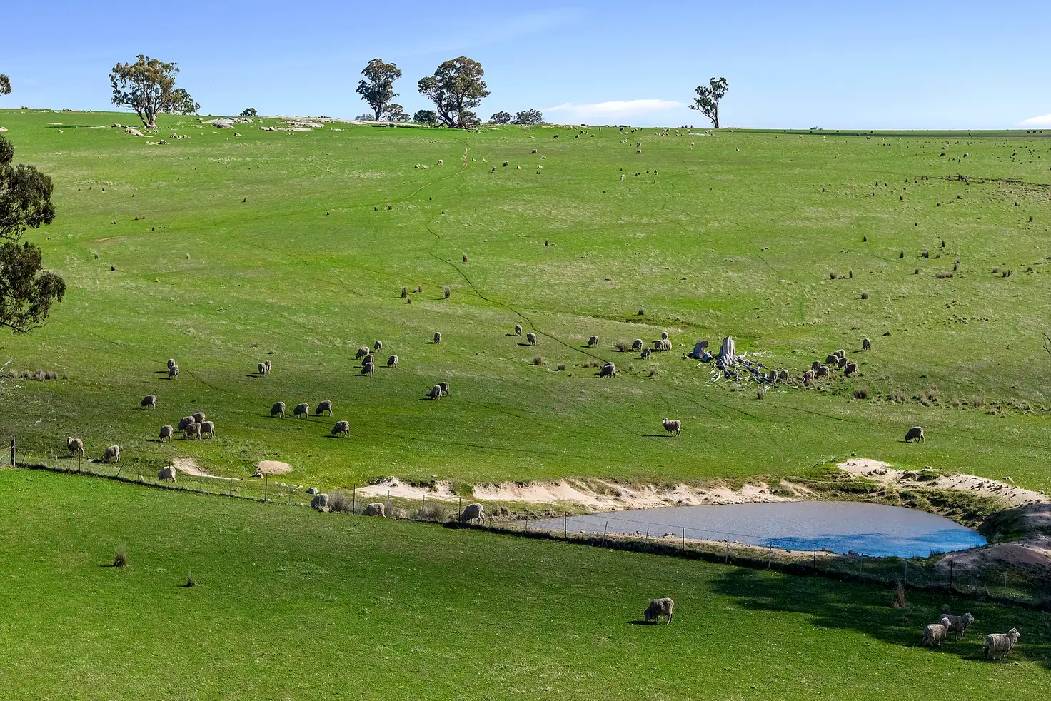 Main view of Homely rural property listing, 157 Bradford Hills Road, Baringhup VIC 3463