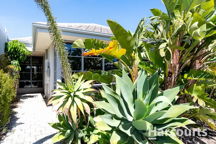 Main view of Homely house listing, 22 Counter Way, Alkimos WA 6038