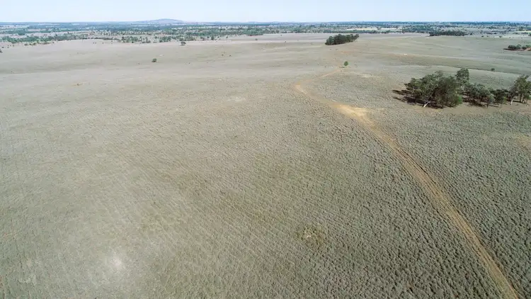 Fourth view of Homely rural property listing, 'Bracco' Orallo Road, Roma QLD 4455