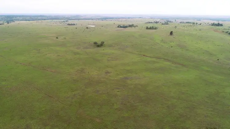 Seventh view of Homely rural property listing, 'Bracco' Orallo Road, Roma QLD 4455