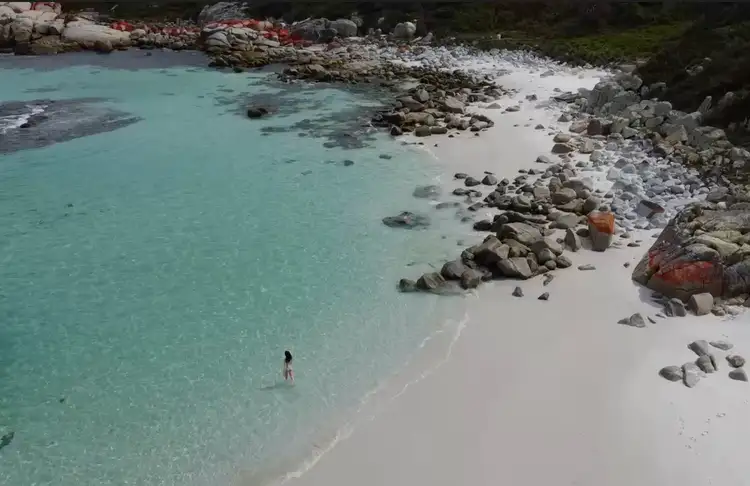 39 Honeymoon Point Road, The Gardens TAS 7216