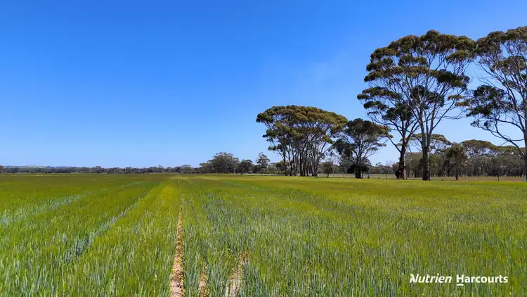 Main view of Homely rural property listing, Lots 501 & 34 Great Southern Highway, Kokeby WA 6304