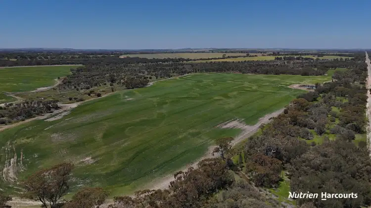 Seventh view of Homely rural property listing, Lots 501 & 34 Great Southern Highway, Kokeby WA 6304